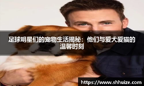 足球明星们的宠物生活揭秘：他们与爱犬爱猫的温馨时刻